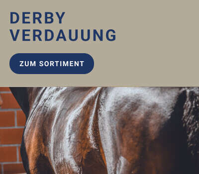 Kachel Navi Banner Verdauung